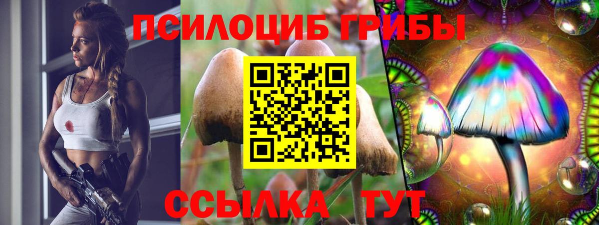 Тара  Галлюциногенные грибы ЛСД  где продают наркотики  Псилоцибиновые грибы Psilocybe  Вход с VPN 